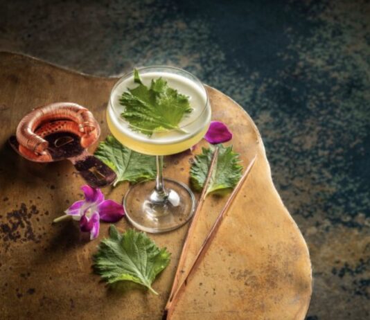 Fizz by Loews Hotels elevates soda culture